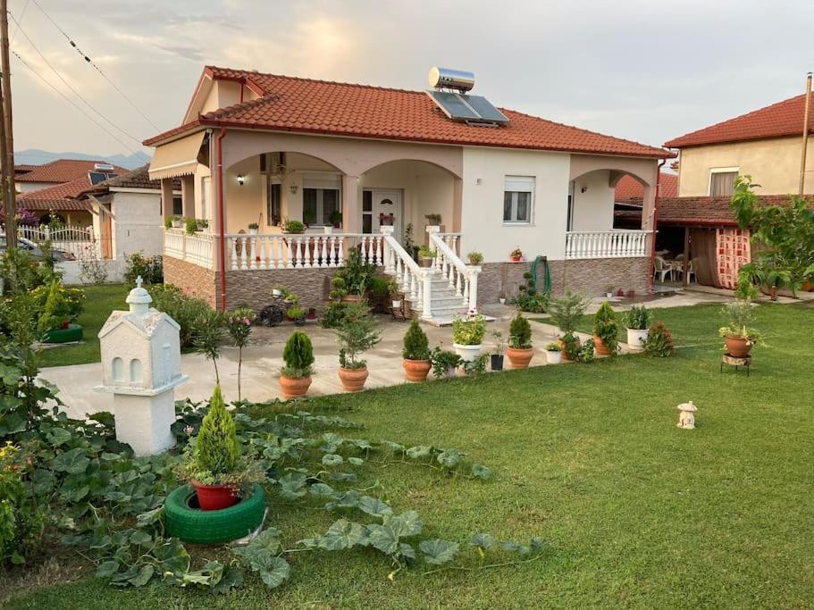 Suzie's House - Road To Loutra Pozar Tatil Evi