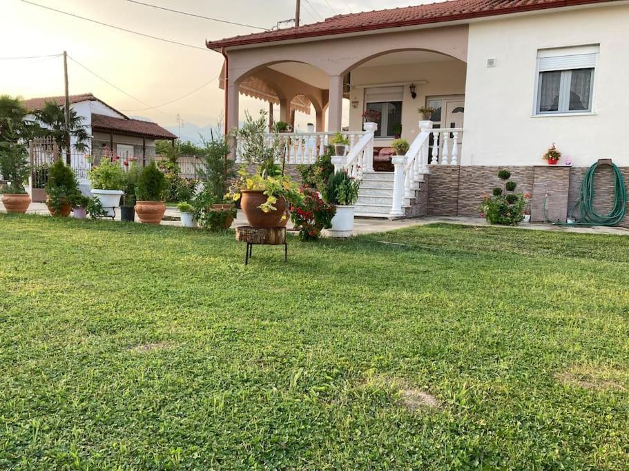 Suzie's House - Road To Loutra Pozar *