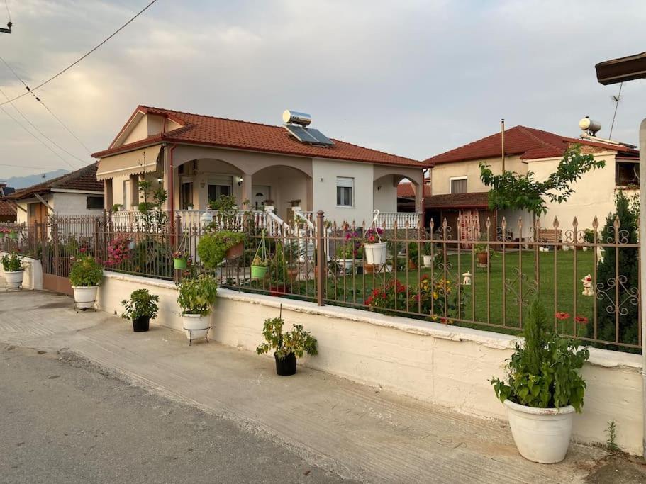 Tatil Evi Suzie's House - Road To Loutra Pozar Polikarpi
